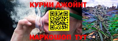 молекула духа Ливны